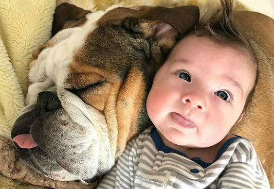 20+ Photos That Prove Every Kid Needs a Pet